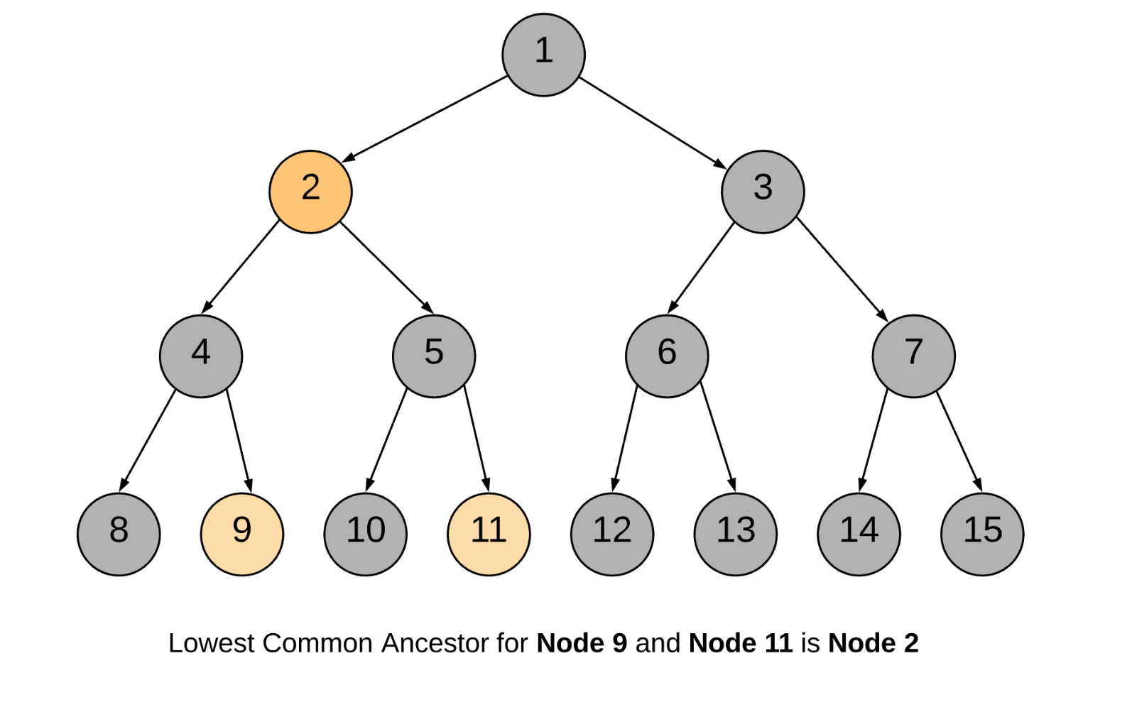 C бинарный тип. Бинарный портрет. binary tree. lca питон. binary tree in python.