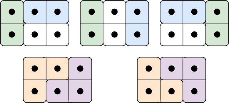 lc domino1