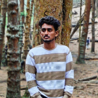 MohamedSilar - LeetCode Profile