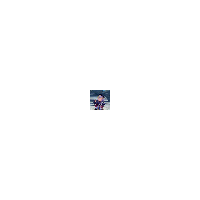 LeetCode profile picture for @SwanS