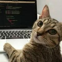 anktcodes - LeetCode Profile