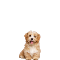LeetCode profile picture for @fbi