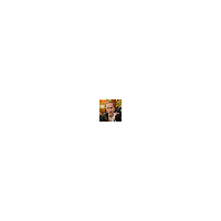 LeetCode profile picture for @torn