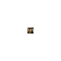 LeetCode profile picture for @routes