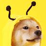 LeetCode profile picture for @snub