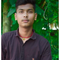 singhbishwa7232 - LeetCode Profile