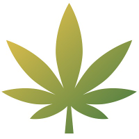 LeetCode profile picture for @hemp