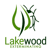 LeetCode profile picture for @Lakewood