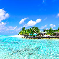 lxyustc - LeetCode Profile