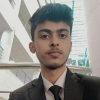 ayushcodesfr - LeetCode Profile