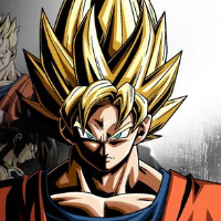 kakarotto007