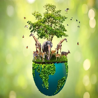LeetCode profile picture for @biodiversity