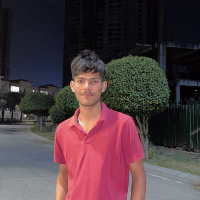 chNaveen377 - LeetCode Profile