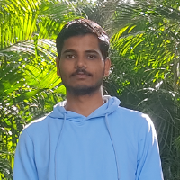 dev_maha - LeetCode Profile