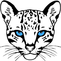 LeetCode profile picture for @donald