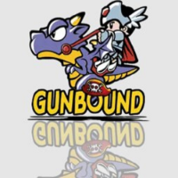 gunboundvn - LeetCode Profile