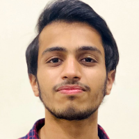 hamzaamin5003 - LeetCode Profile