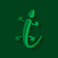 LeetCode profile picture for @Iguana