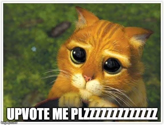 upvoteee_meeee.png