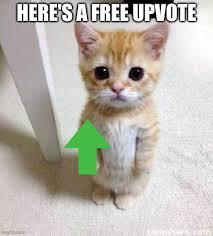 upvote.jpeg.jpg