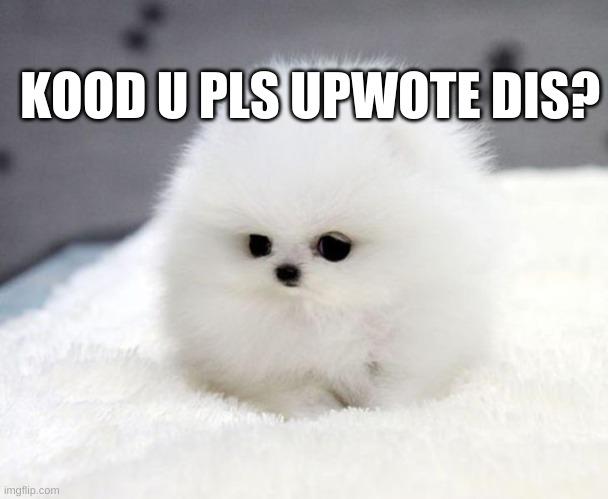 upvotee.jpg