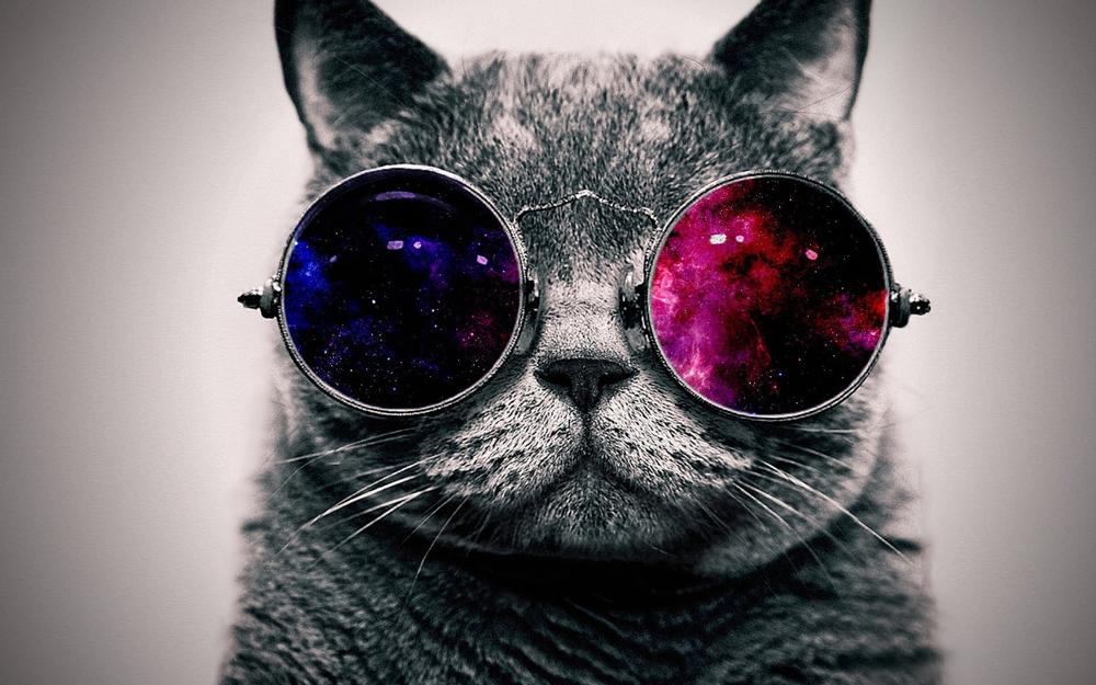 wallpaperflare.com_wallpaper (4).jpg