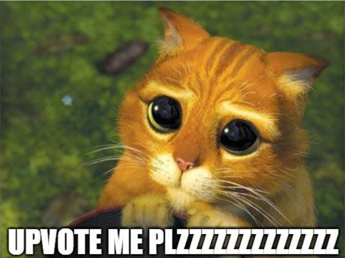 upvote cat3.png