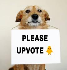 upvote (3).jpg