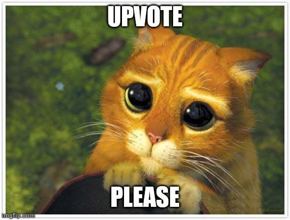 UpvoteLeetcode.jpeg