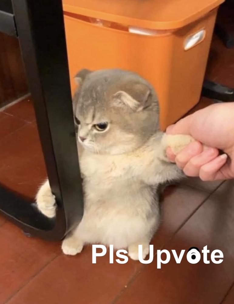 oie_CksRiTNvbciG.jpg