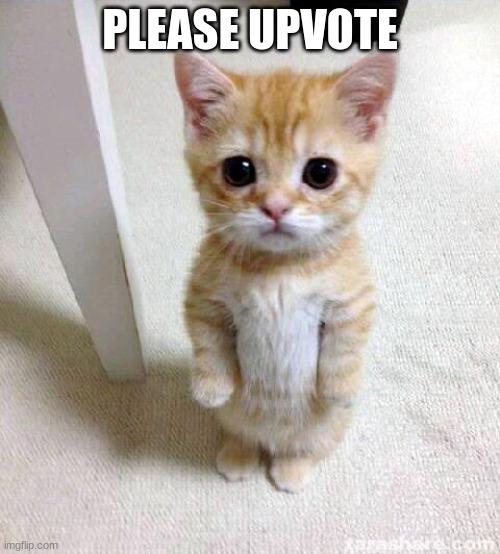 cat-upvote.jpg