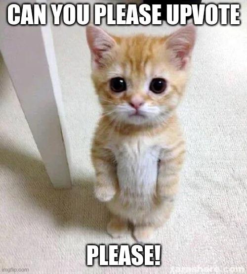 UPvote.jpg