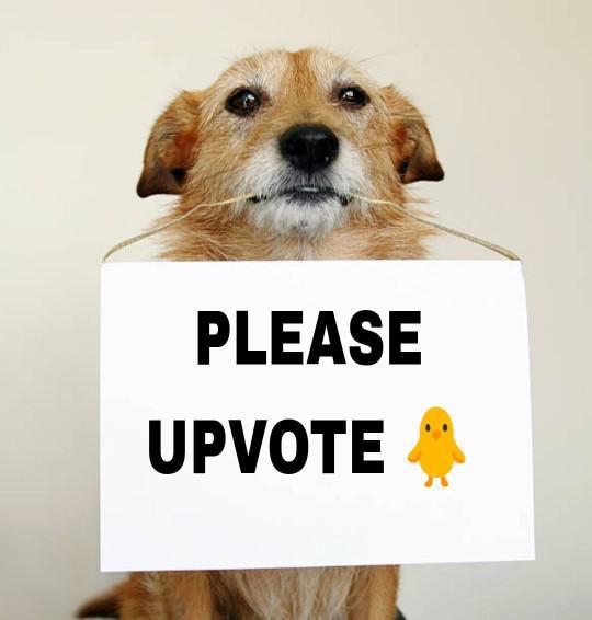 upvote.jpeg