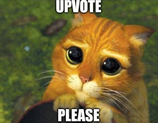 upvote cat.jpeg