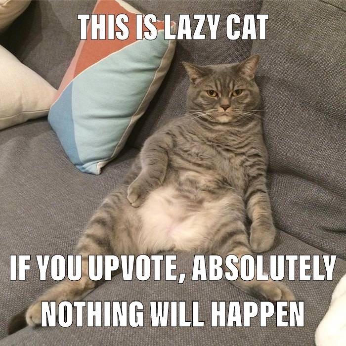 649768ad8f25f.jpeg