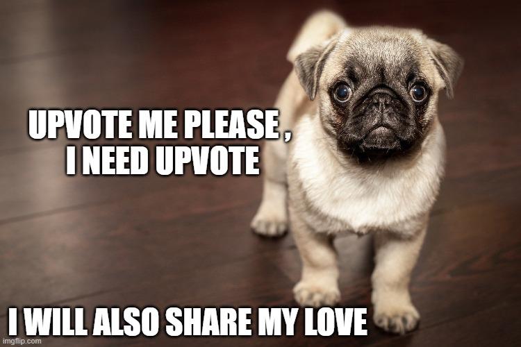 upvote.jpg