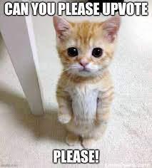 upvote cat.jpeg