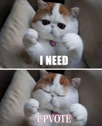 upvote.jpeg