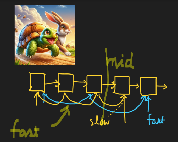 hase_turtle.png