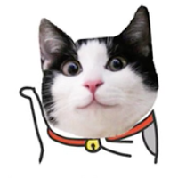 LeetCode profile picture for @kow