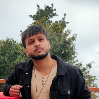 ashish_2030 - LeetCode Profile
