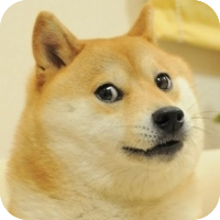 LeetCode profile picture for @kura