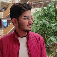 panthera_leo - LeetCode Profile