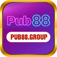 pub88group - LeetCode Profile