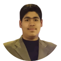 pulkittalangbu - LeetCode Profile