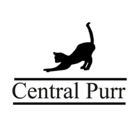 LeetCode profile picture for @purr