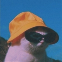 rationalist_13 - LeetCode Profile