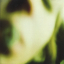 LeetCode profile picture for @refuse