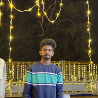 satishreddykarri_1342 - LeetCode Profile