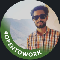 shrijanshrey - LeetCode Profile